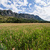 Parc Naturel Régional des prealpes d'azur