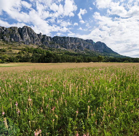 Parc Naturel Régional des prealpes d'azur