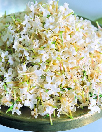 Culture de fleurs