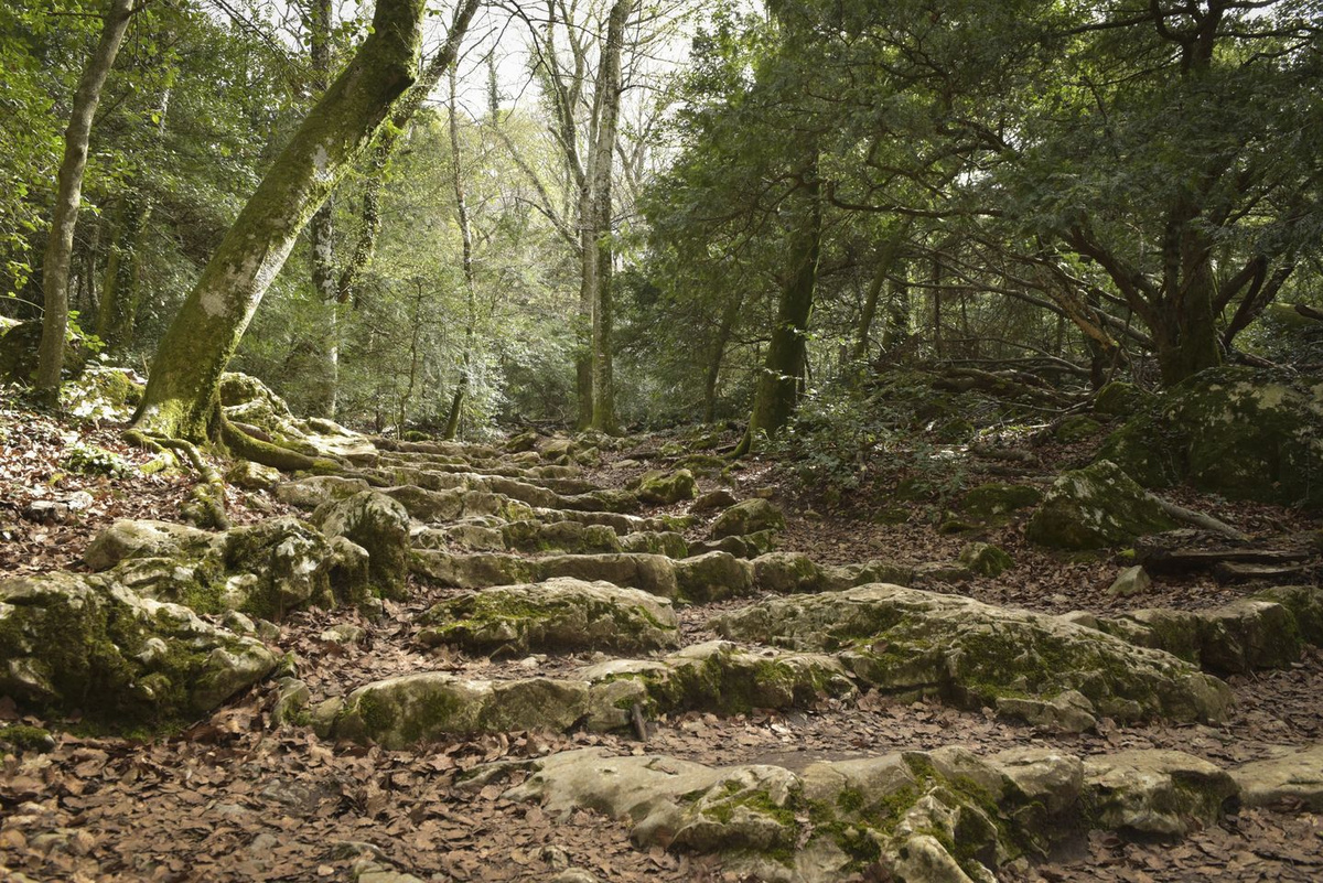 Les Sources de la Sainte-Baume