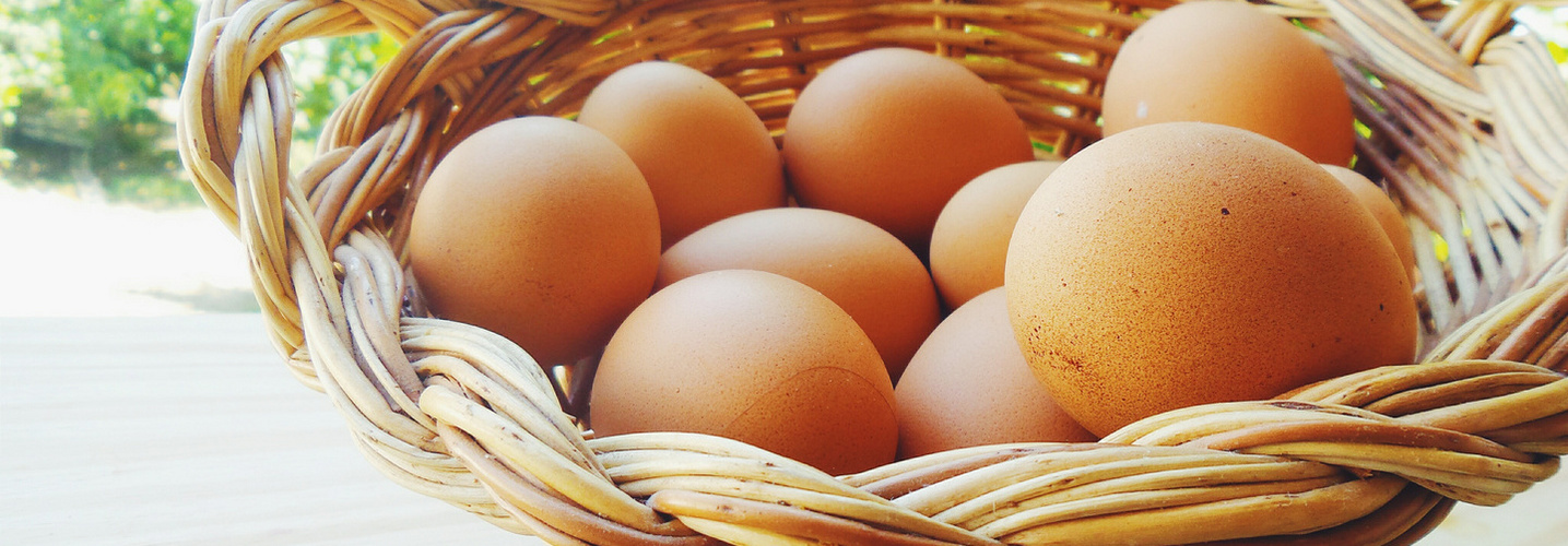 Œufs de pâques
