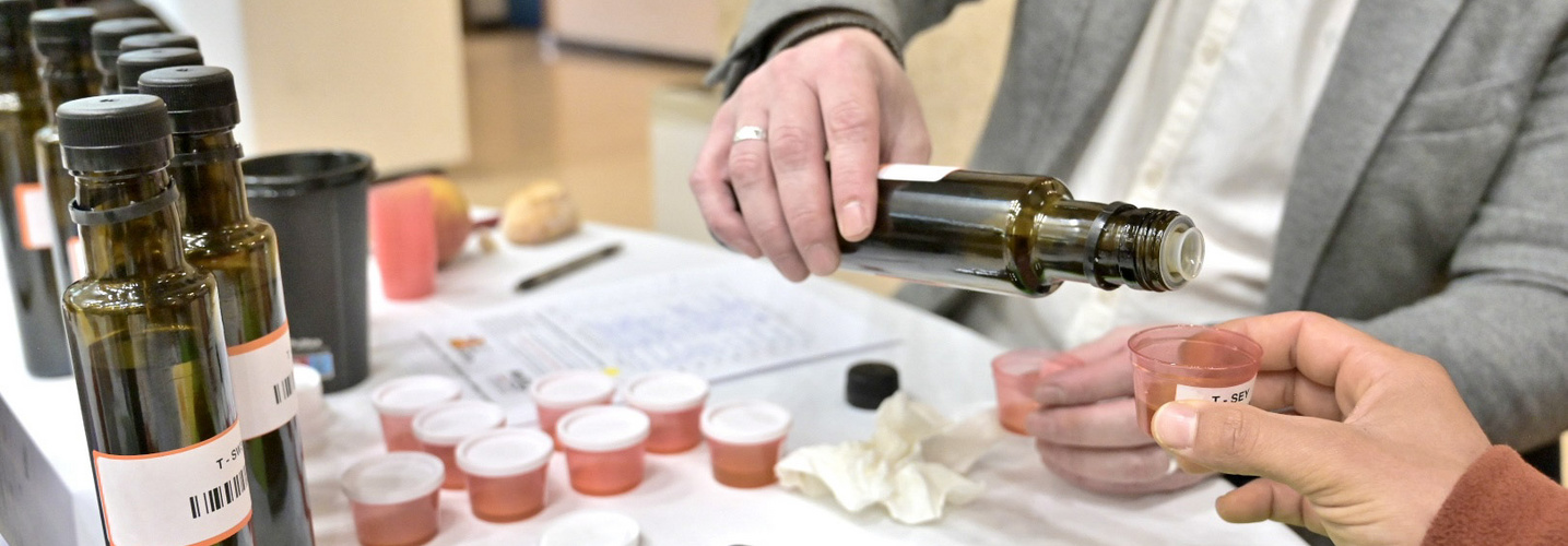 Concours d'Huile d'Olive 2025 région Sud