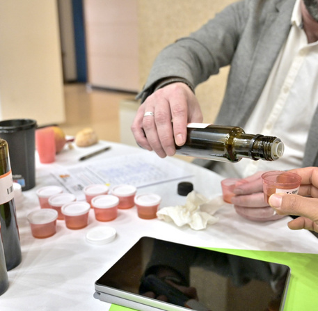 Concours d'Huile d'Olive 2025 région Sud