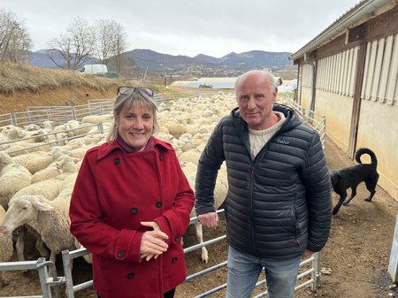 Eleveurs de moutons