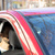 passagers en voiture