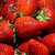 Fraises de Carpentras