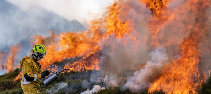 Incendies de l’été 2026 : la Région Sud mobilise des aides d’urgence pour les territoires sinistrés