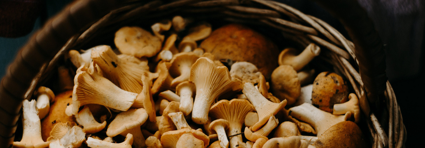 Champignons