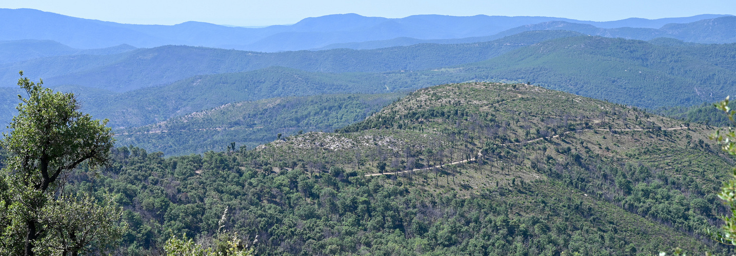 Massif des Maures