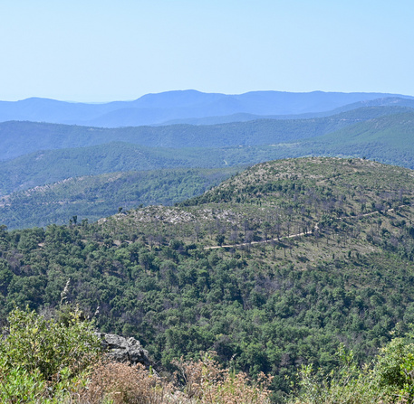 Massif des Maures