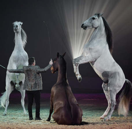 Cheval Passion