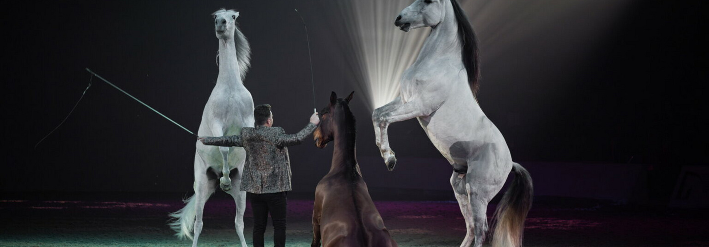 Cheval Passion