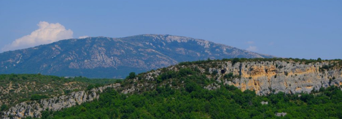 Fôret