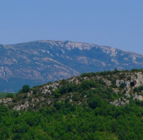 Fôret