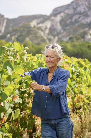 vignes