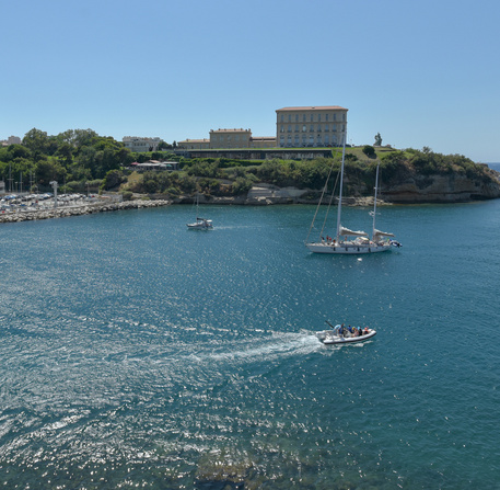 Entrée du port de Marseille 