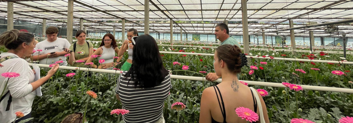 horticulteur serres