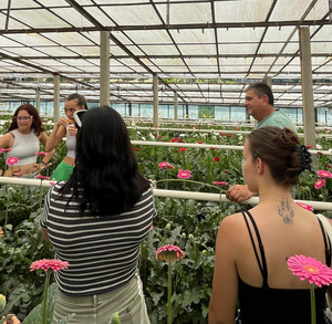 horticulteur serres