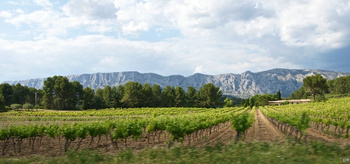 Coteaux d'Aix-en-Provence