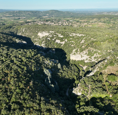 PNRMV