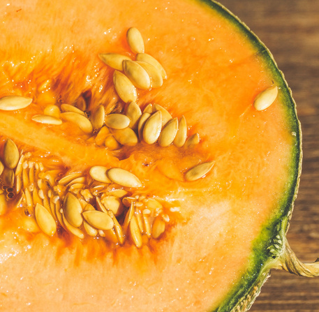Melon