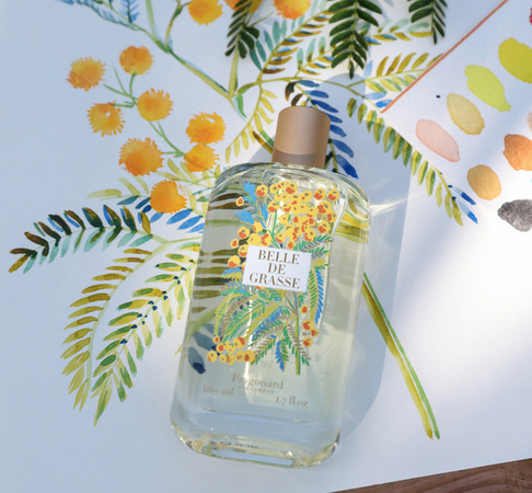 Parfum grasse mimosas