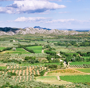 Agriculture