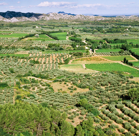 Agriculture