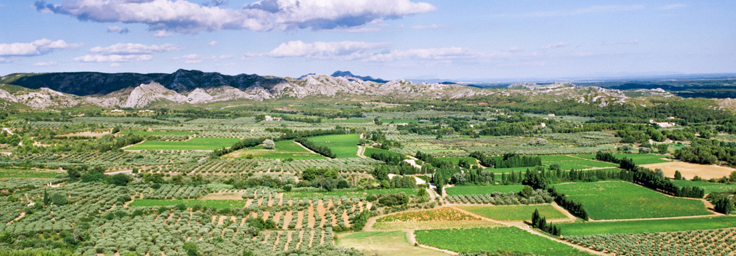 Agriculture