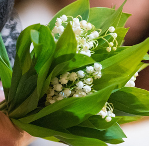 un brin de muguet