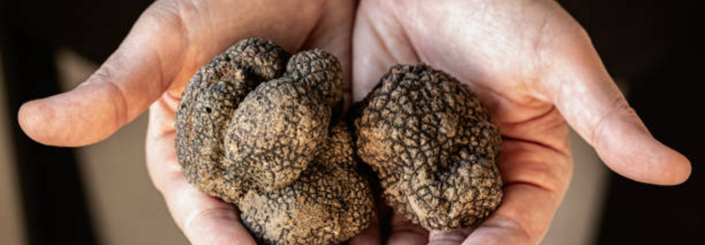 Truffes