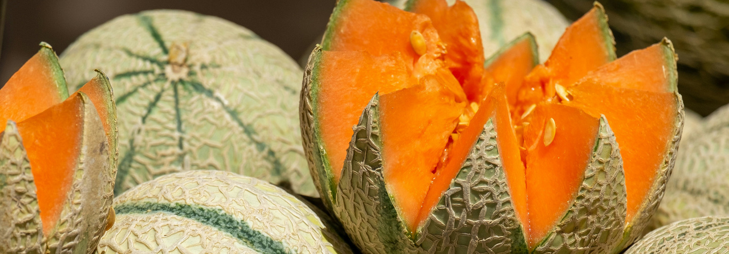 Melons
