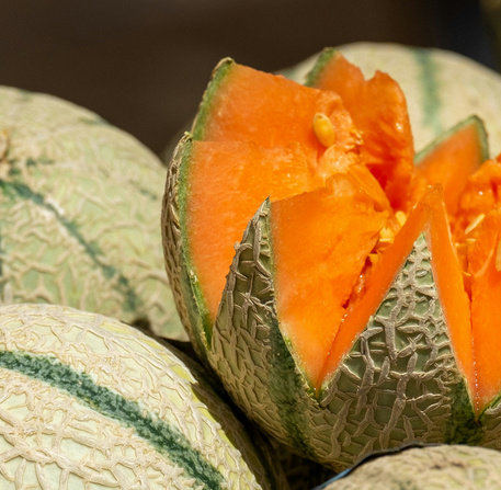 Melons