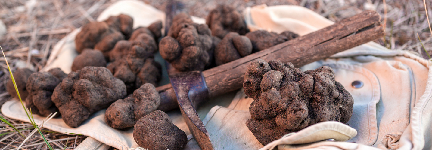 Truffes