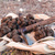 Truffes