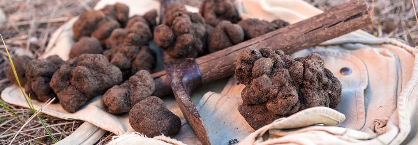 Truffes