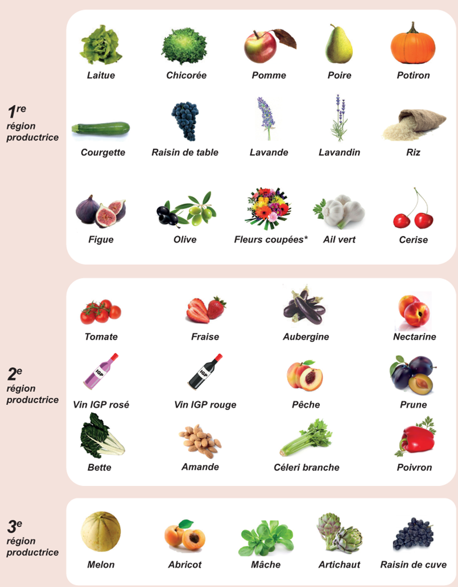 Infographie_Fruits_et_Legumes