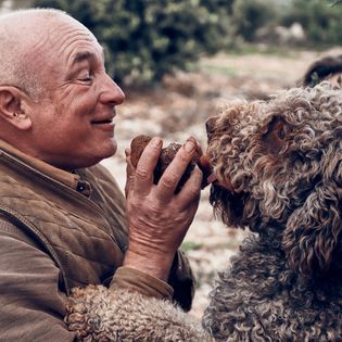 Questions truffes • Le diamant noir du Vaucluse