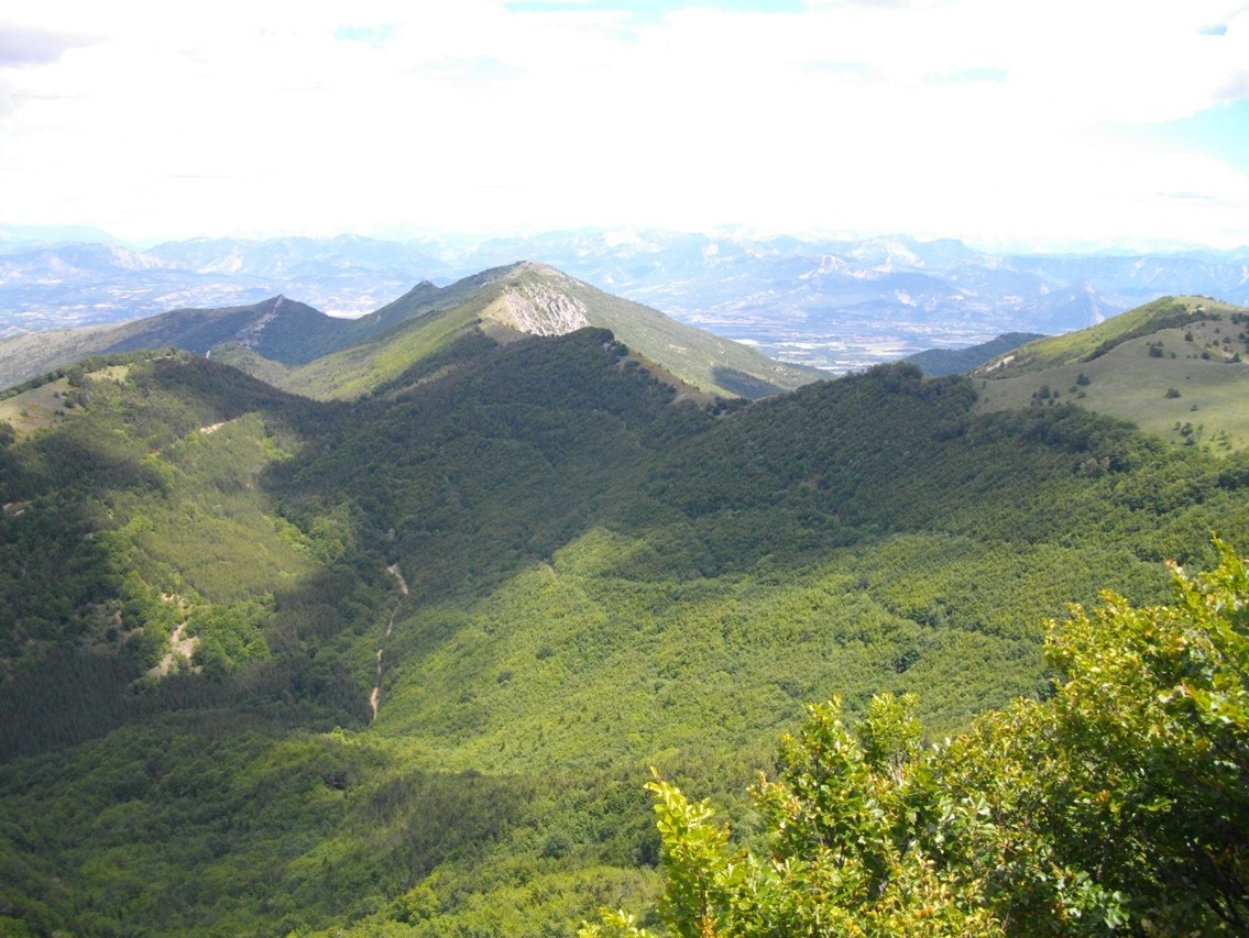 Crête du travers de l’Âne, vue de la montagne de Chanteduc